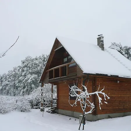 Holiday House Niedras Jurmala Holiday home Jurmala