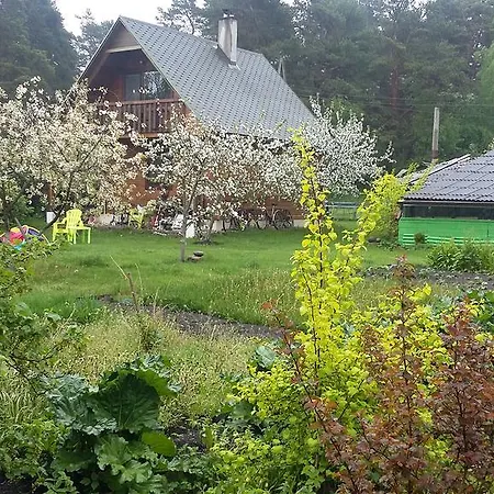 Holiday House Niedras Jurmala Jurmala